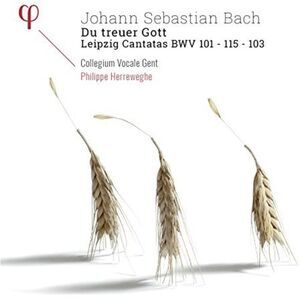 Bach,J.S. / Herreweghe - Du Treuer Gott / Leipzig Cantatas  CD